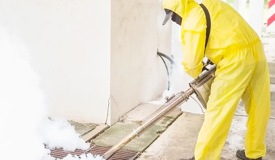 Unwanted Guests: How to Keep Pests Out of Your Home