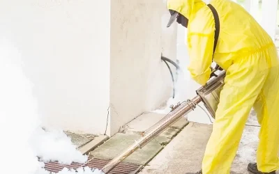 Unwanted Guests: How to Keep Pests Out of Your Home