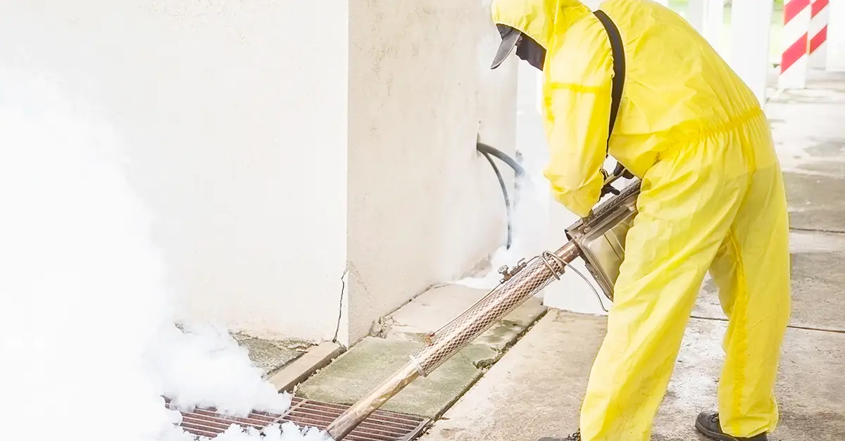 Pest Control by Fumigation Services by Kahuna Cleaning