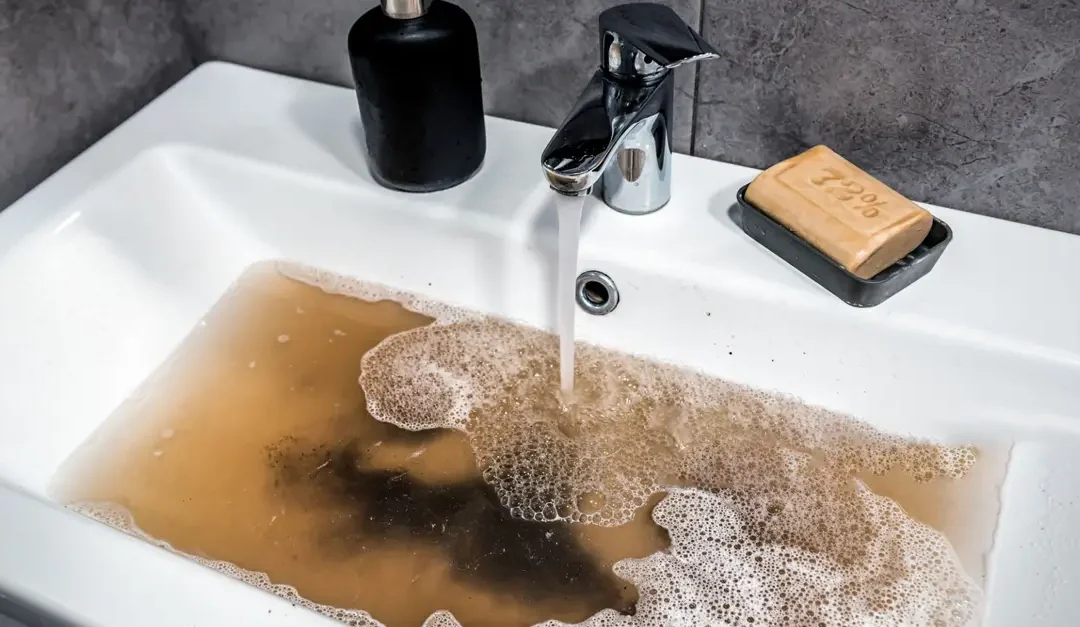 A Guide to Clean Drains & Preventing Clogs