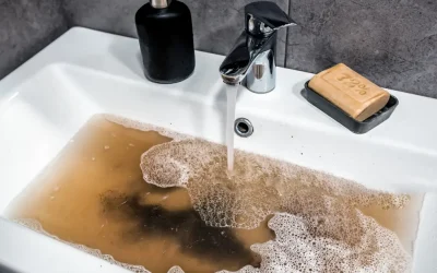 A Guide to Clean Drains & Preventing Clogs
